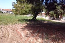 Property 4386 photo 2