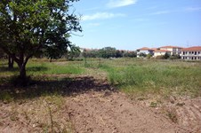 Property 4386 photo 1