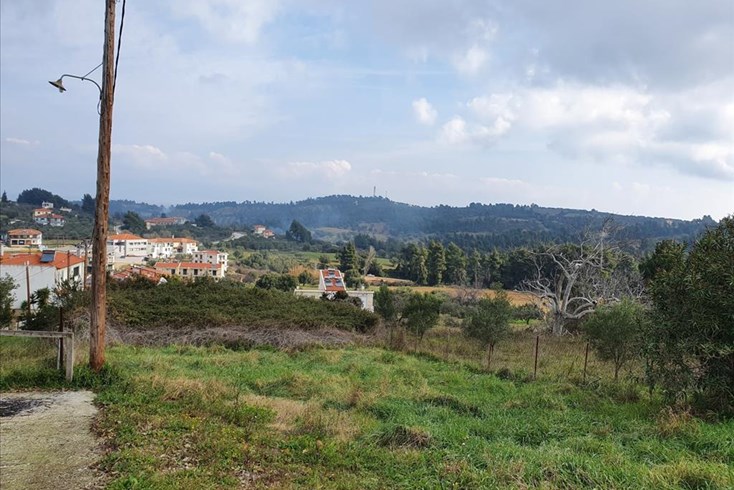 Realty photo 3