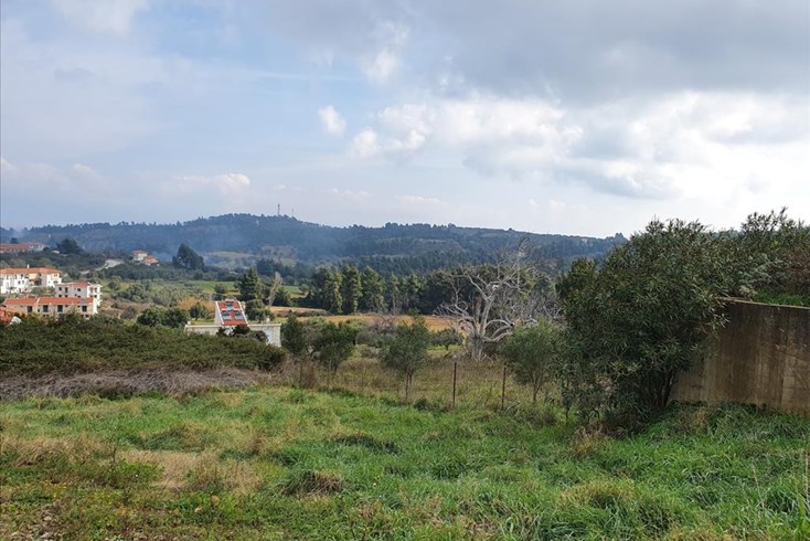 Realty photo 1