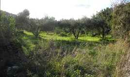 Land 8300 m² auf Korfu