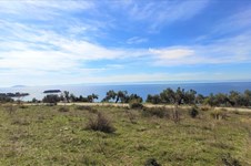 Property 43917 photo 1