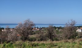 Terrain 1000 m² à Sithonia (Chalcidique)