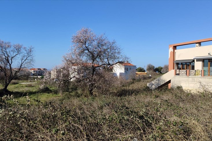 Realty photo 2