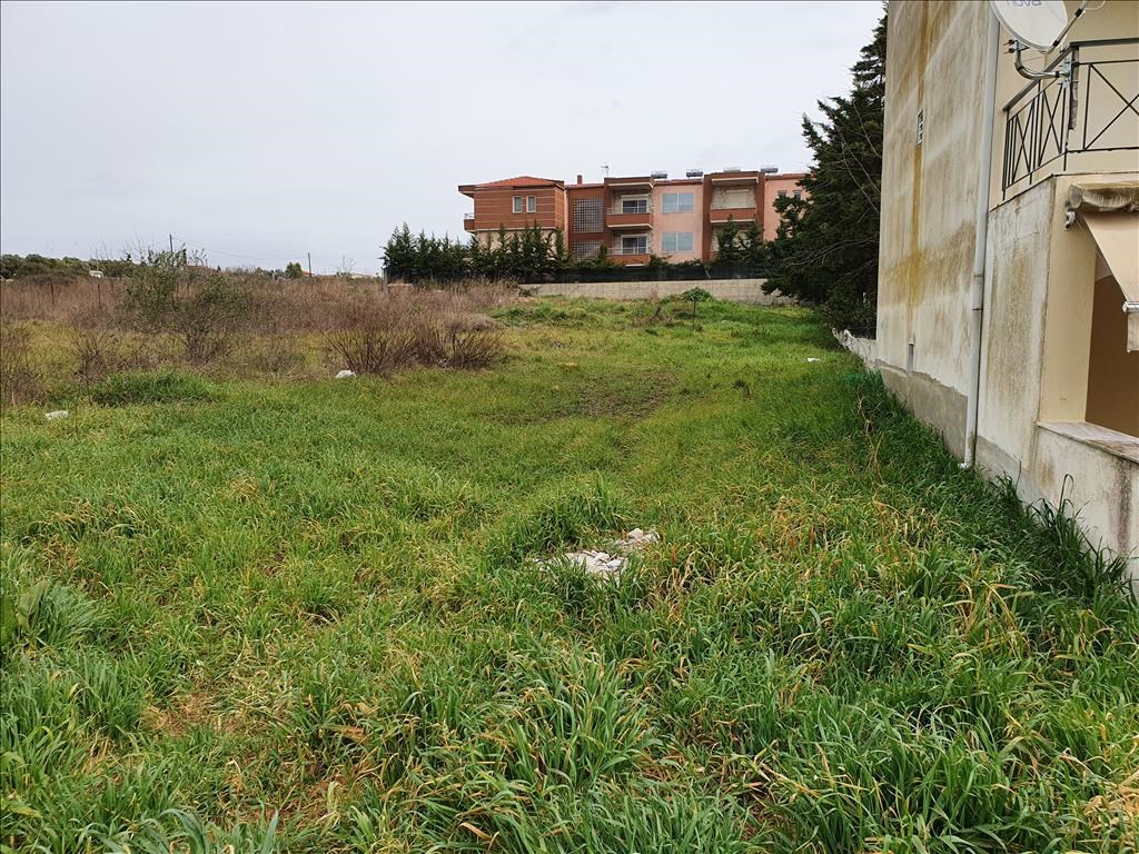 For Sale Land 1000 M In Kassandra Chalkidiki Greece Buy Purchase Land For Construction Of Houses Businesses In Europe 0 Price Property Prices Abroad Overseas Grekodom Development