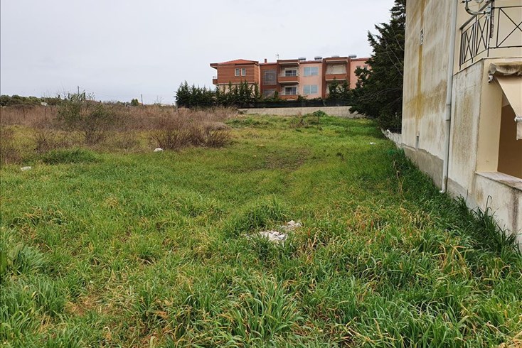 Realty photo 1