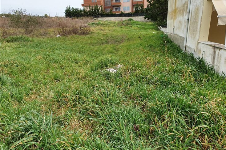 Realty photo 2