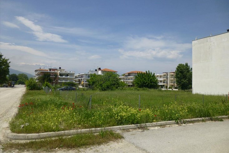 Realty photo 3