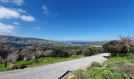 Land 283 m² in Crete