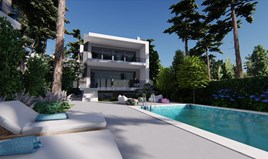 Вілла 305 m² на Сітонії (Халкідіки)