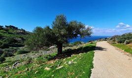 Land 7657 m² in Crete