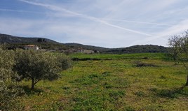 Land 1250 m² in Chalkidiki