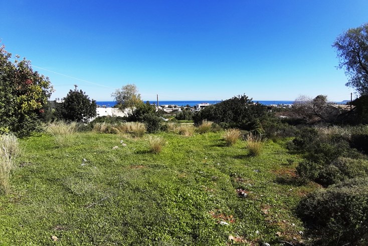 Realty photo 1