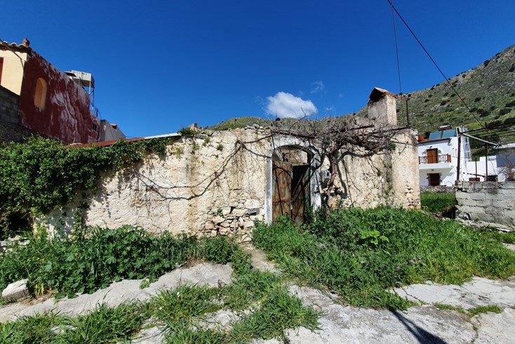 Realty photo 1