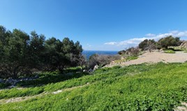 Land 1543 m² in Crete