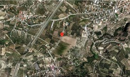 Terrain 13500 m² en Crète