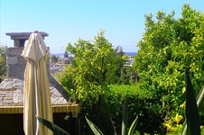 Property 4436 photo 10