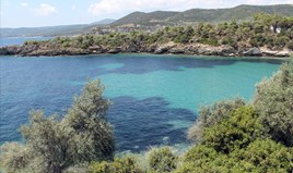 հողատարածք 16500 m² Խալկիդիկի-Աթոսում