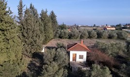 Terrain 4794 m² dans la banlieue de Thessalonique
