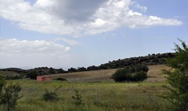 Land 4000 m² auf Sithonia (Chalkidiki)