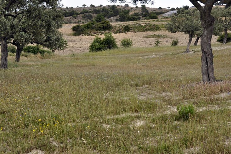 Realty photo 3