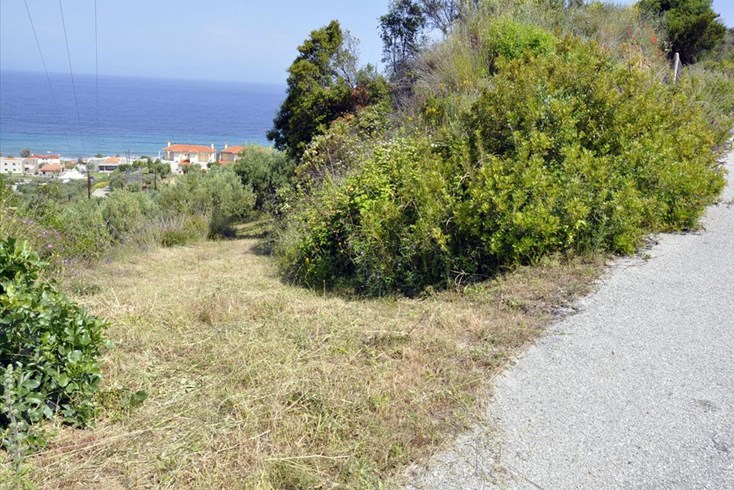 Realty photo 2