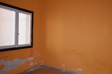 Property 4451 photo 5