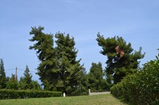 Property 44540 photo 13