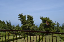 Property 44540 photo 1