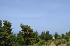 Property 44540 photo 11
