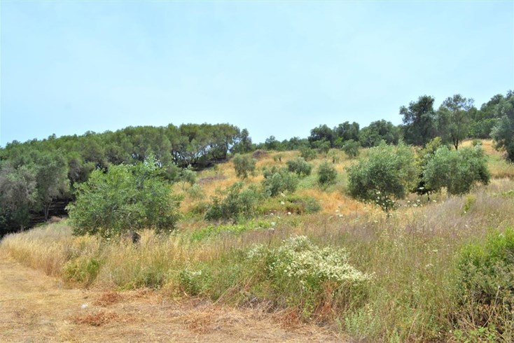 Realty photo 2
