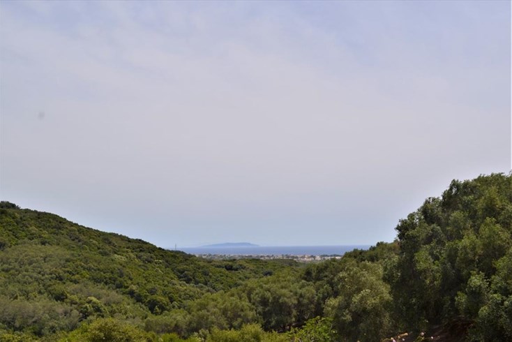 Realty photo 1