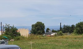 Land 5786 m² auf Kassandra (Chalkidiki)