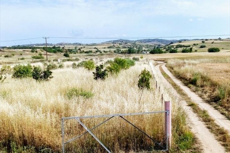 Realty photo 1