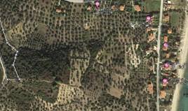 Γη 5236 μ² στη Σιθωνία