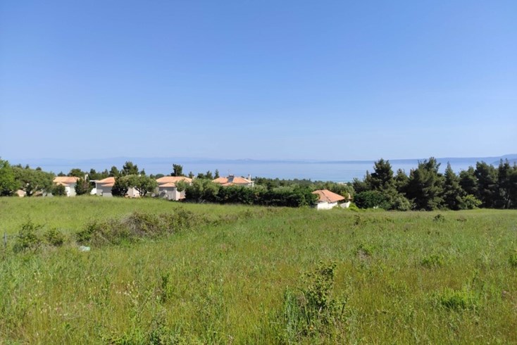 Realty photo 1