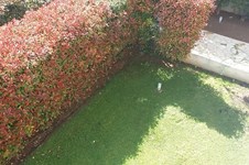 Property 44653 photo 7