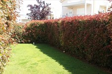 Property 44653 photo 12