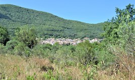 Land 8500 m² in Corfu