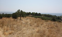 Land 7200 m² auf Sithonia (Chalkidiki)