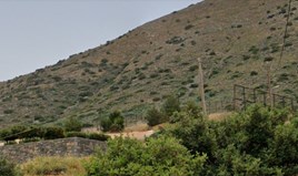 Terrain 34000 m² en Crète