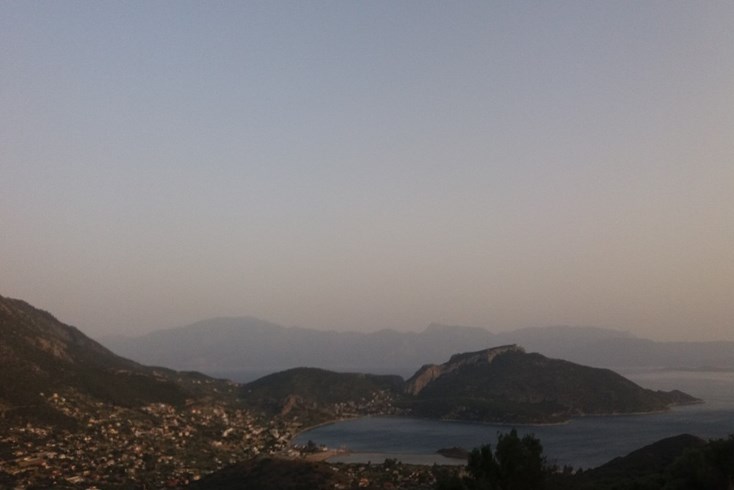 Realty photo 1
