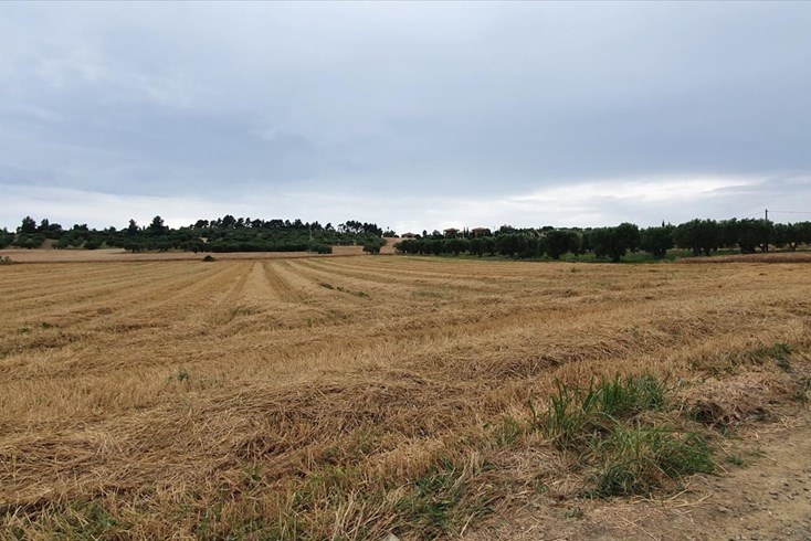 Realty photo 2