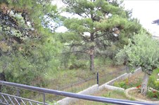 Property 4477 photo 9