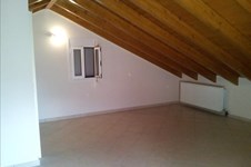 Property 44782 photo 25