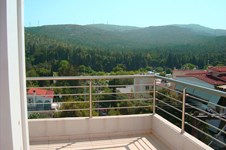 Property 4481 photo 1