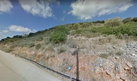 Zemljište 12000 m² na Kritu