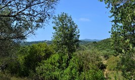 Land 2650 m² auf Korfu