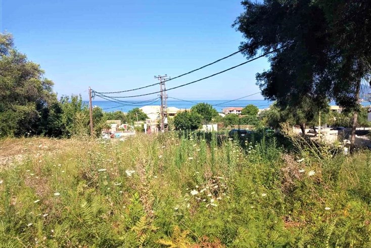 Realty photo 1