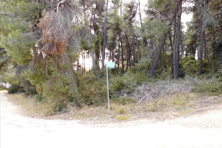 Realty photo 3
